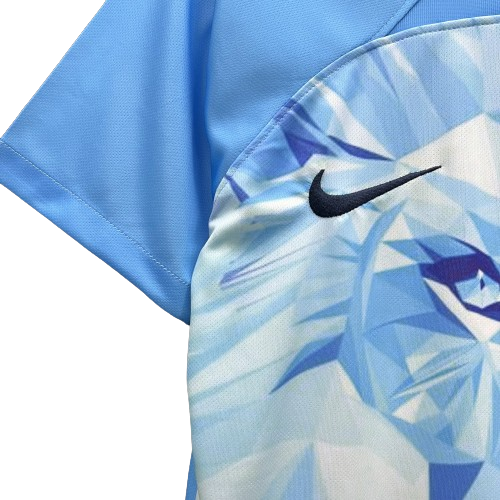 camisa-camiseta-holanda-selecao-selecao-holandesa-nike-versao-versao-torcedor-masculina-24-25-edicao-edicao-especial-leao-leao-laranja-azul-branca-branco_3