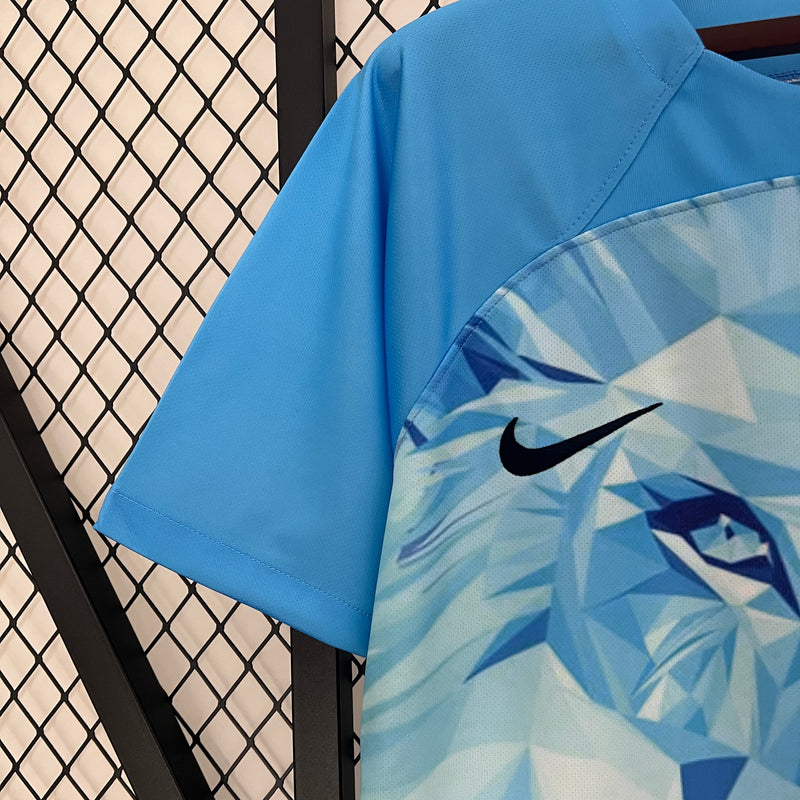 camisa-camiseta-holanda-selecao-selecao-holandesa-nike-versao-versao-torcedor-masculina-24-25-edicao-edicao-especial-leao-leao-laranja-azul-branca-branco_4