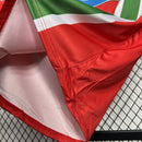 camisa-camiseta-manga-longa-juventus-nike-tamoil-versao-torcedor-masculina-05-06-away-fora-ii-secundaria-2-vermelho-vermelha-verde-branca-branco-retro_5