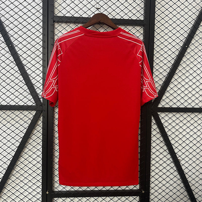 camisa-camiseta-paris-saint-germain-psg-jordan-qatar-airways-versao-versao-torcedor-masculina-25-26-edicao-edicao-especial-vermelha-vermelho-branca-branco_2