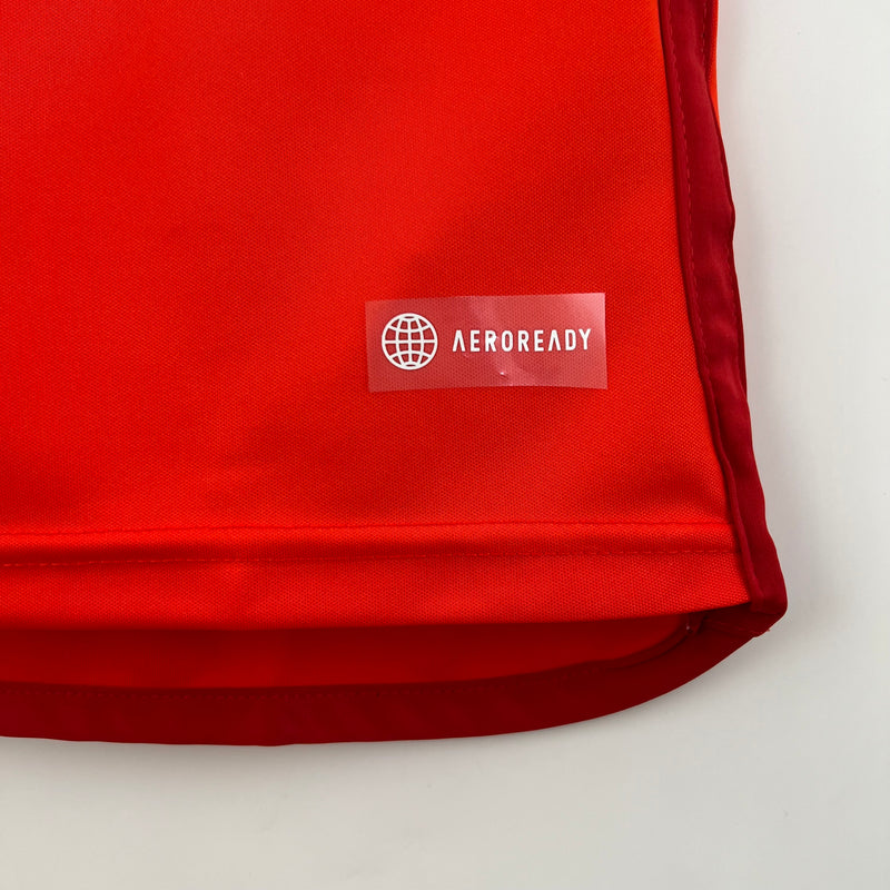 camisa-camiseta-sc-internacional-adidas-banrisul-colorado-versao-versao-torcedor-masculina-23-24-home-casa-i-principal-1-vermelha-vermelho-regata_4