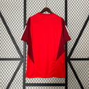 camisa-camiseta-sc-internacional-adidas-banrisul-colorado-versao-versao-torcedor-masculina-24-25-treino-treinamento-vermelha-vermelho_6