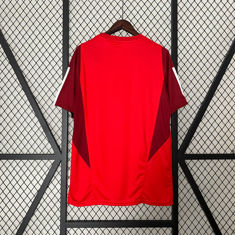 camisa-camiseta-sc-internacional-adidas-banrisul-colorado-versao-versao-torcedor-masculina-24-25-treino-treinamento-vermelha-vermelho_6